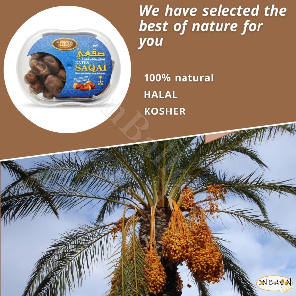 Saqai Dates 12.7 oz - Image 7